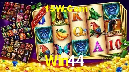 Win44 Salvador - Promo Stats